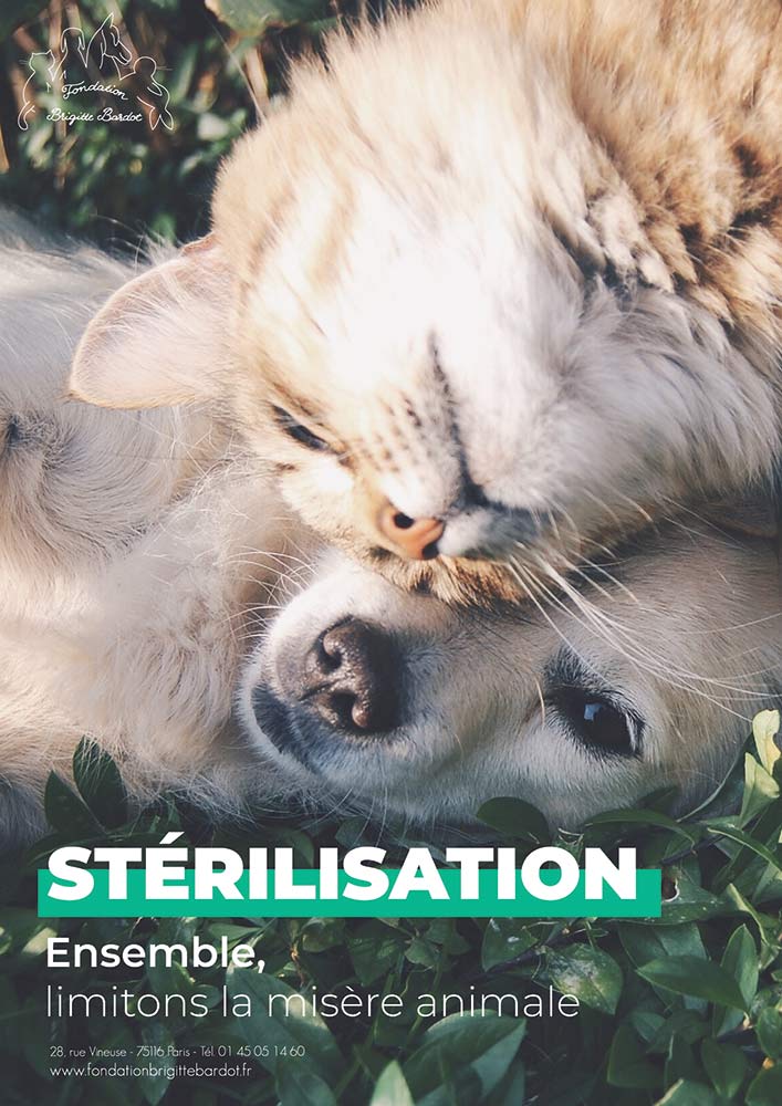 fondation brigitte bardot sterilisation chiens chats errants aides associations