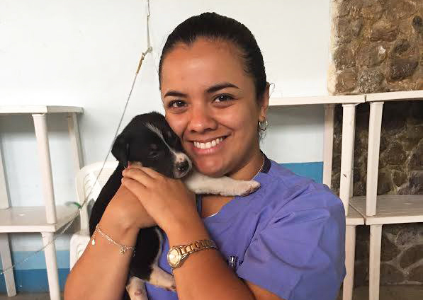 fondation bardot aide internationale guatemala ayuda chiens chats errants sterilisation
