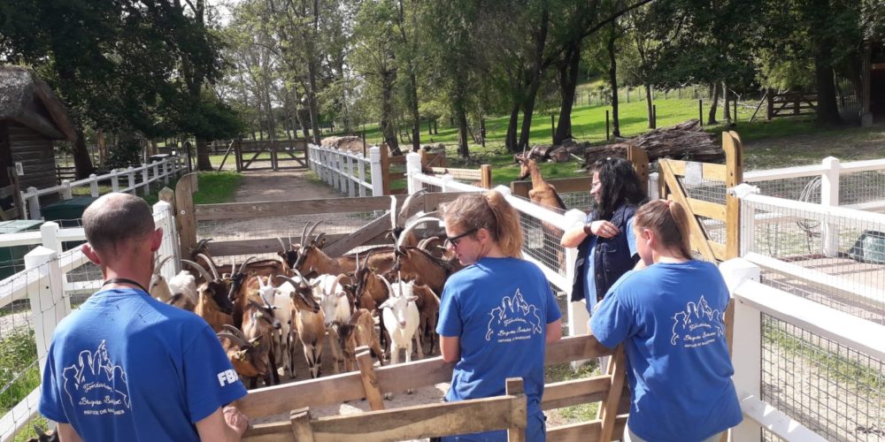 La FBB recueille 70 chèvres dans l’Allier