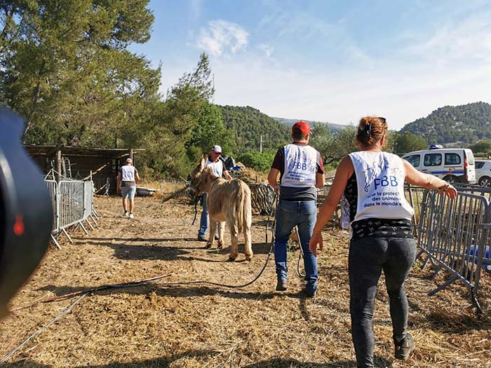 fondation brigitte bardot sauvetage chevaux mouton bouches-du-rhone