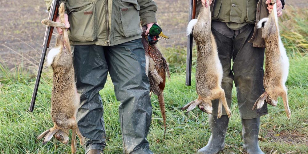 Halte aux abus scandaleux de la chasse !