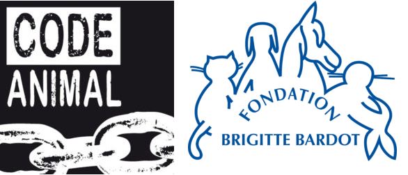 fondation brigitte bardot code animal cirques sans animaux communique de presse