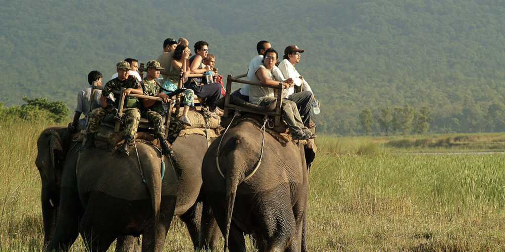 Au Népal, la FBB aide SU4E à protéger les éléphants à touristes