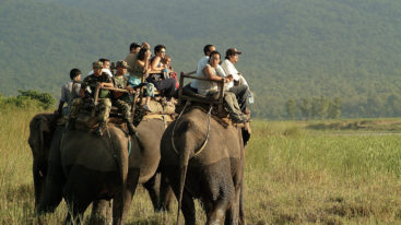 Au Népal, la FBB aide SU4E à protéger les éléphants à touristes
