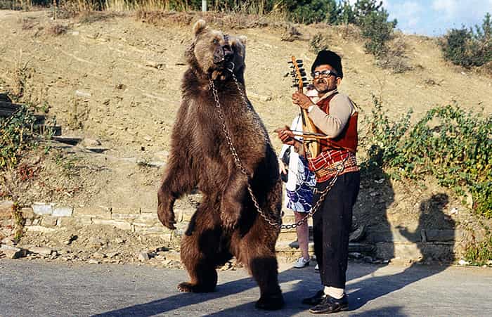 fondation brigitte bardot parc de belitsa bulgarie sanctuaire ours dansants