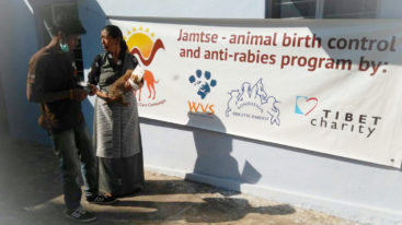 En Inde, le projet Jamtse a été mis en place par la FBB avec Worldwide Veterinary Service depuis 2015