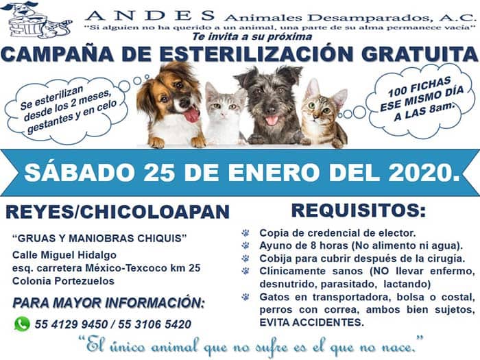 fondation bardot aide internationale mexique andes Animales Desamparados sterilisation