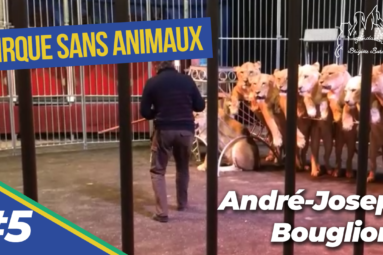 Le dressage dans le monde du cirque : André-Joseph Bouglione nous parle de cette maltraitance (5/9)