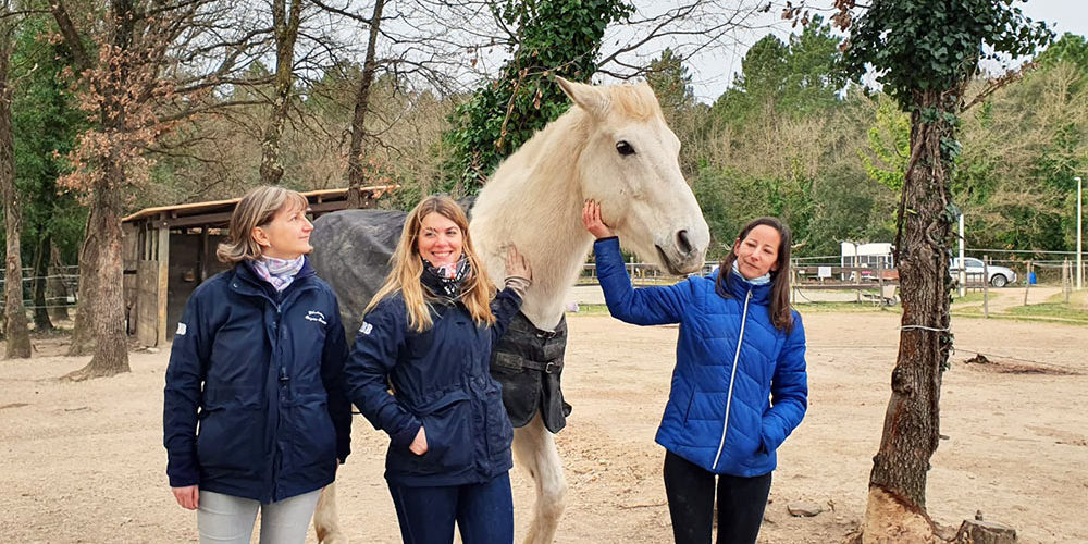 La FBB prend en charge un cheval sauvé des inondations de 2019 à Fréjus