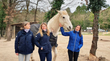 La FBB prend en charge un cheval sauvé des inondations de 2019 à Fréjus