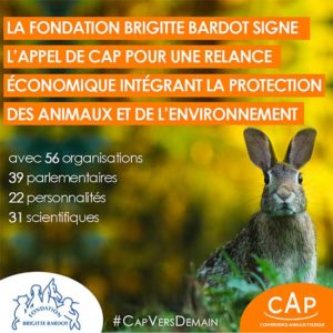 fondation brigitte bardot tribune journal du dimanche cap plan relance economie protection animale