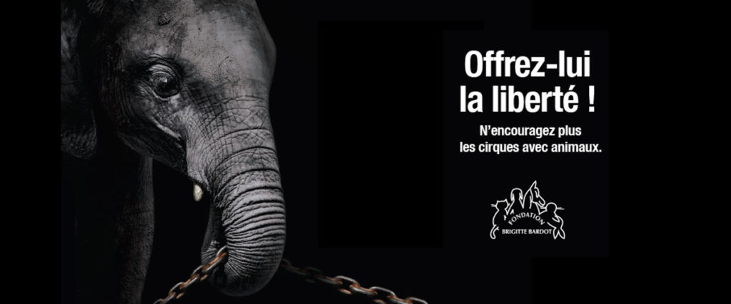 Fondation Brigitte Bardot cirque sans animaux