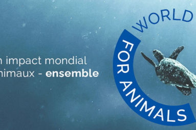 La FBB rejoint The World Federation for Animals (WFA)