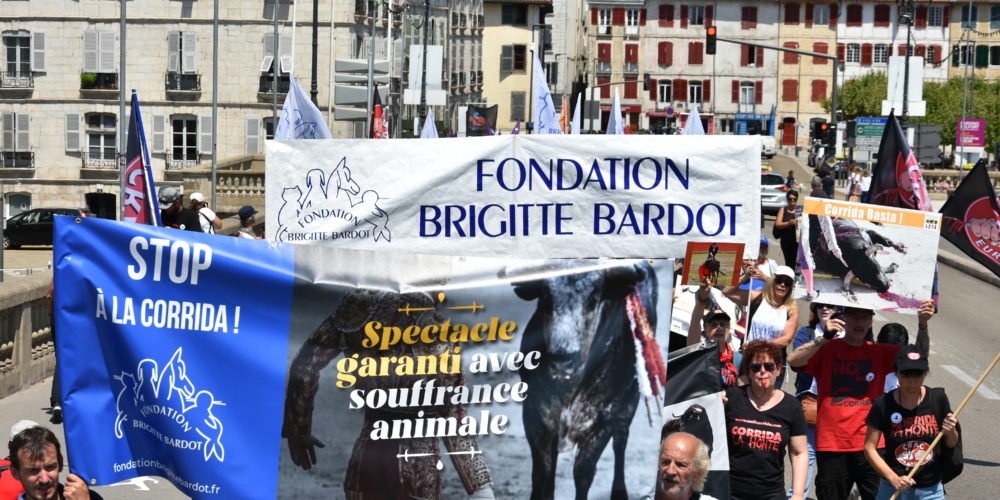 Manifestation unitaire anticorrida du 23 juillet 2022 à Bayonne !