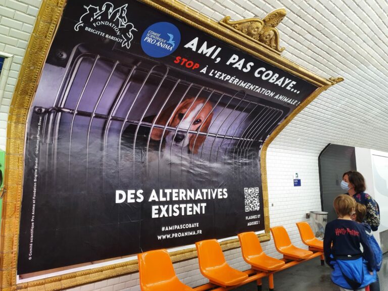 ami pas cobaye metro 1