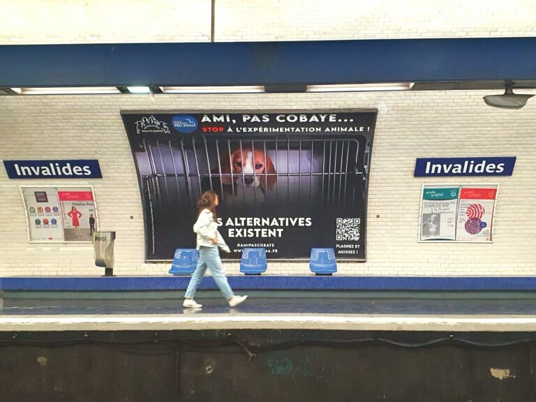 ami pas cobaye metro 2
