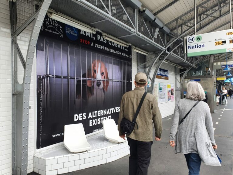 ami pas cobaye metro 3
