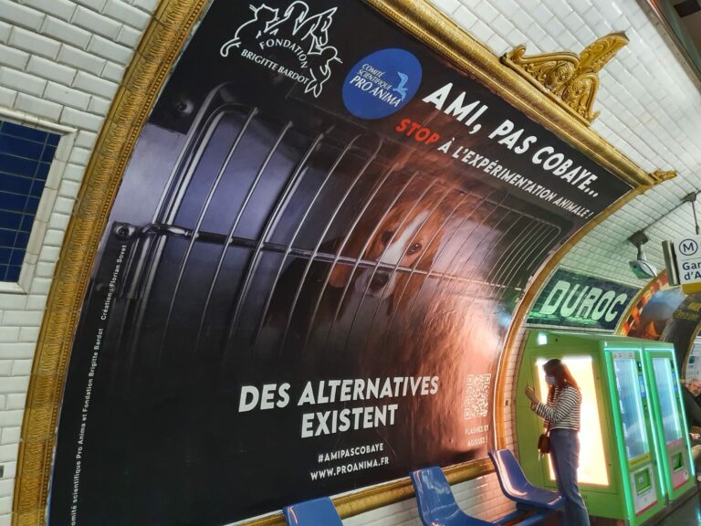 ami pas cobaye metro 4