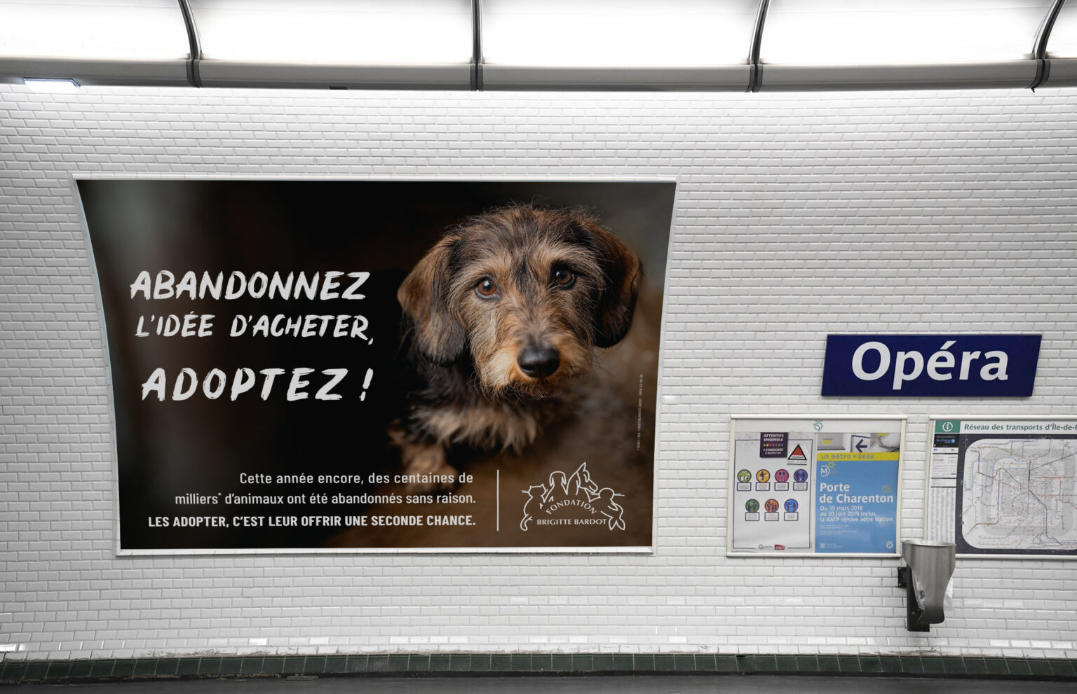 Notre nouvelle campagne en faveur de l'adoption
