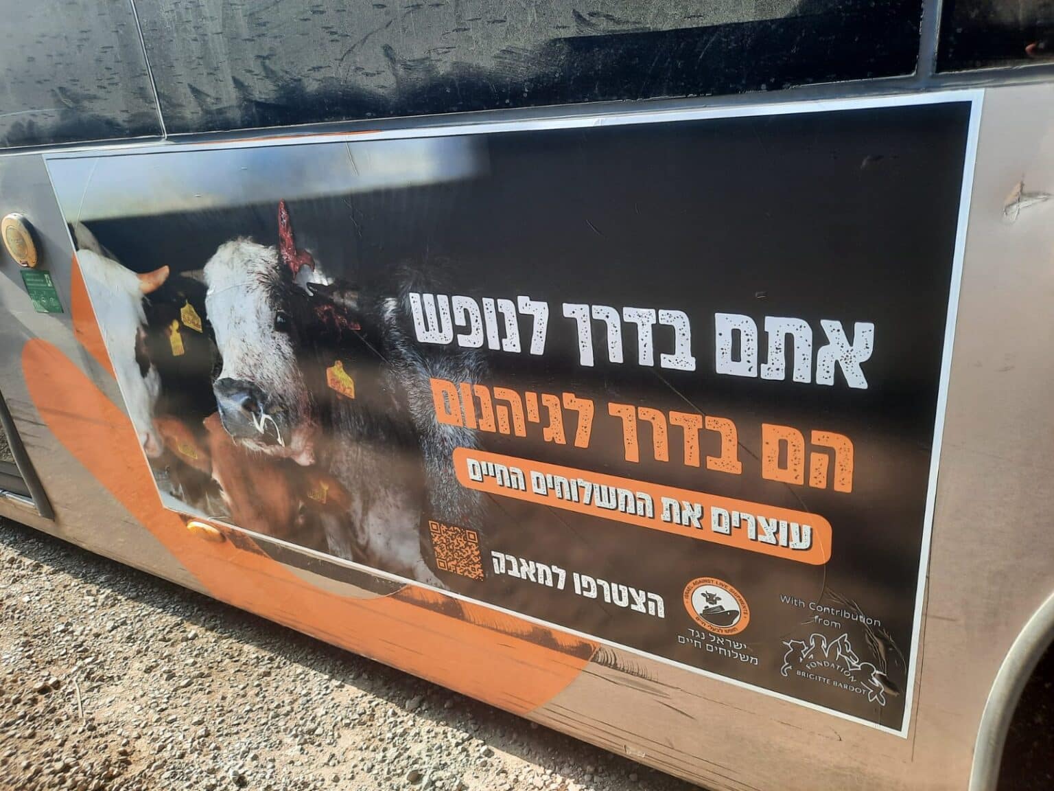 Nouvelle campagne d'affichage en Israël pour sensibiliser au sort des animaux d'élevage pendant le transport