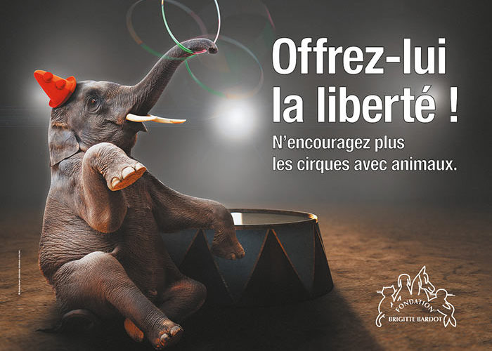 Fondation Brigitte Bardot campagne 2019 cirque sans animaux