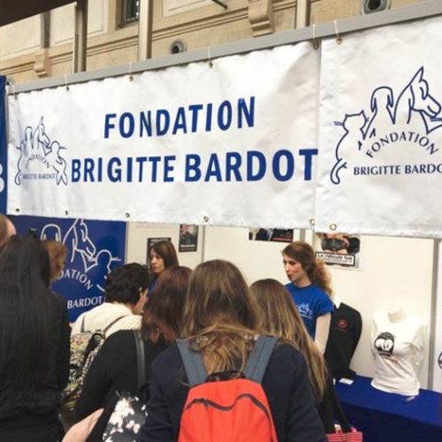 soutenir la fondation brigitte bardot devenir benevole delegue enqueteur